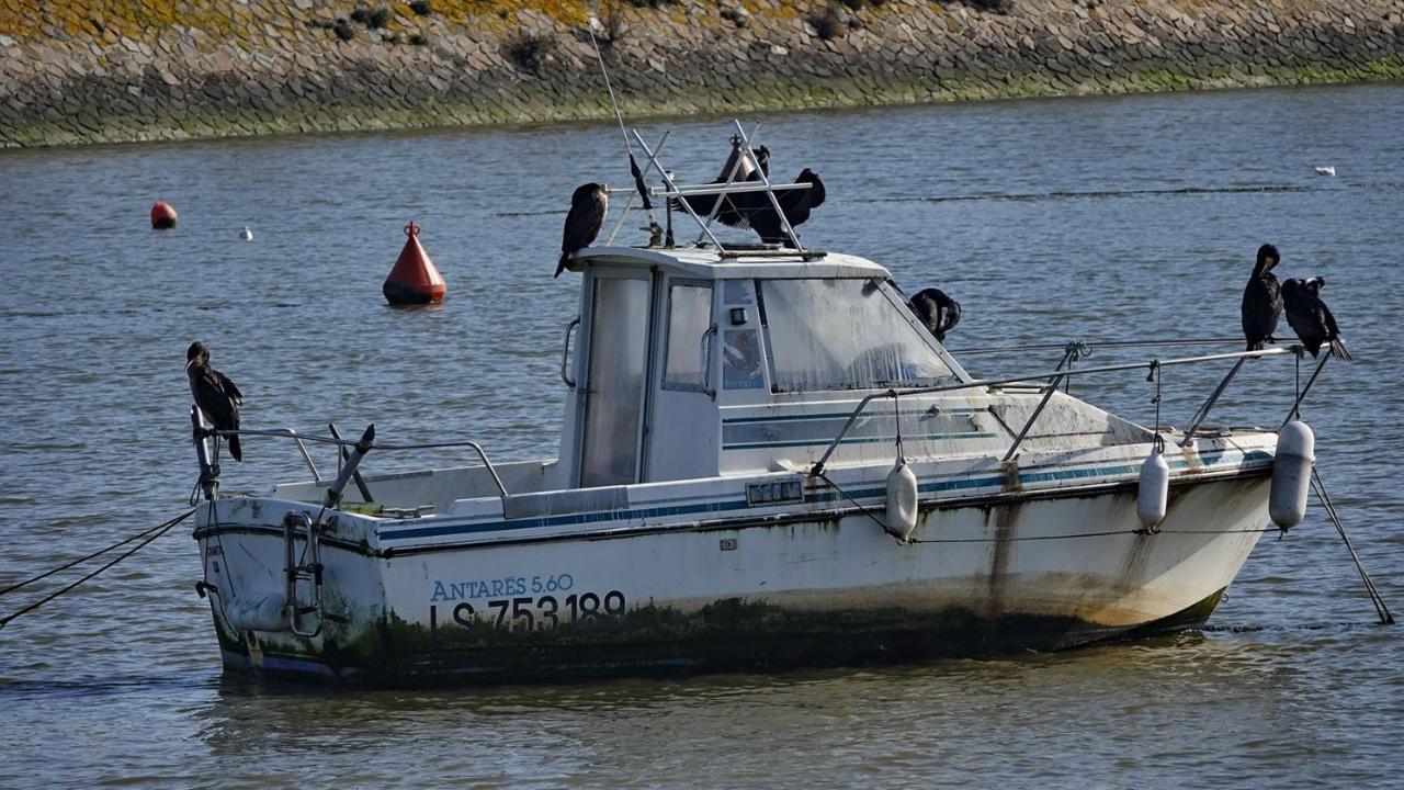 Emplacement Ideal 200M De La Plage Saint-Jean-de-Monts Kültér fotó